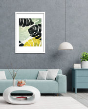 Tropical Leaf Contrast