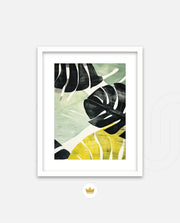 Tropical Leaf Contrast