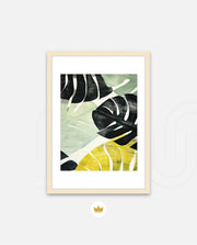 Tropical Leaf Contrast