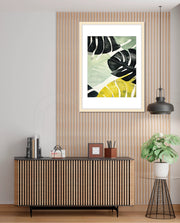 Tropical Leaf Contrast