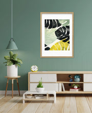 Tropical Leaf Contrast