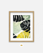 Tropical Leaf Contrast