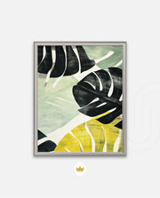 Tropical Leaf Contrast