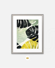 Tropical Leaf Contrast