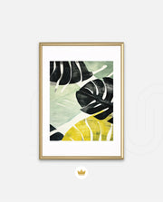 Tropical Leaf Contrast