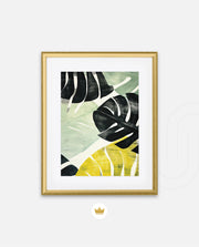Tropical Leaf Contrast