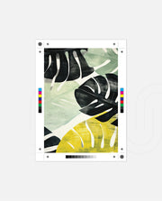 Tropical Leaf Contrast