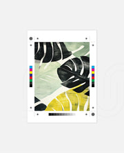 Tropical Leaf Contrast