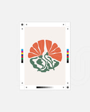 Coral Botanical Fan