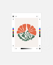 Coral Botanical Fan