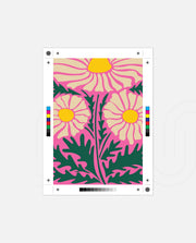 Pink Daisy Delight