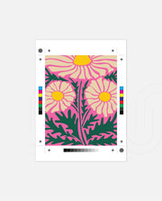 Pink Daisy Delight