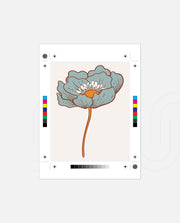 Vintage Blue Poppy