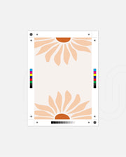 Peach Daisy Duo