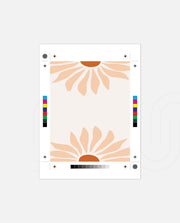 Peach Daisy Duo