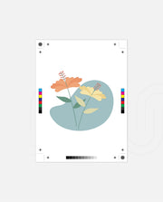 Pastel Meadow Duo