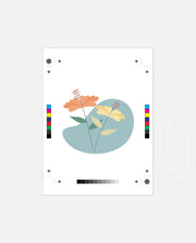 Pastel Meadow Duo