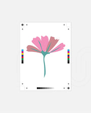 Blush Petal Whisper