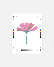 Blush Petal Whisper