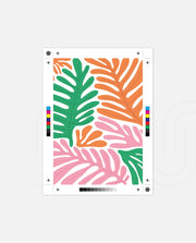 Tropical Color Cascade