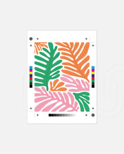 Tropical Color Cascade