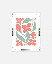 Coral Blossom Breeze