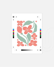 Coral Blossom Breeze