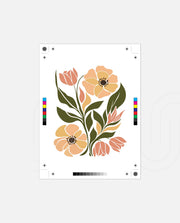 Peach Meadow Blooms
