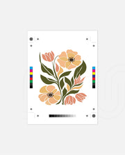 Peach Meadow Blooms