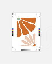 Tangerine Petal Fusion