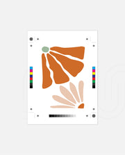 Tangerine Petal Fusion
