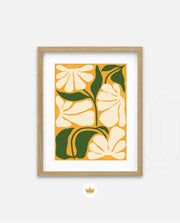 Sunshine Daisy Garden