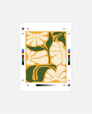 Sunshine Daisy Garden
