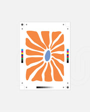 Tangerine Petal Burst