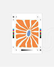 Tangerine Petal Burst