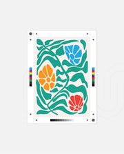 Tropical Bloom Dance