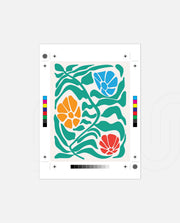 Tropical Bloom Dance