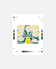 Sunny Daisy Bouquet