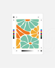 Citrus Petal Harmony
