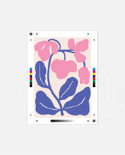 Pink Violet Bloom