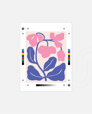 Pink Violet Bloom