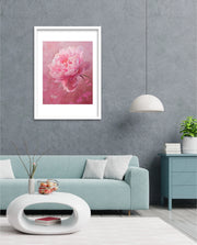 Pink Bloom