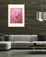 Pink Bloom