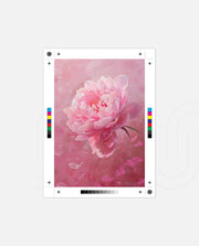 Pink Bloom