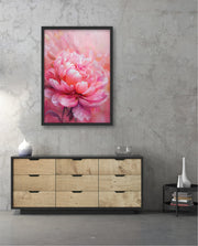 Rosy Peony