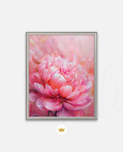 Rosy Peony