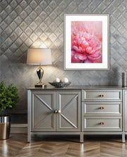 Rosy Peony