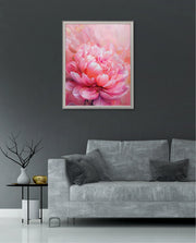Rosy Peony