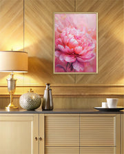 Rosy Peony
