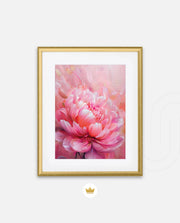 Rosy Peony